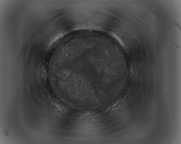 X0000092291064200710051157