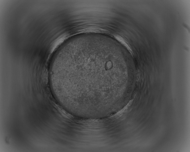 X0000092291067200710051157