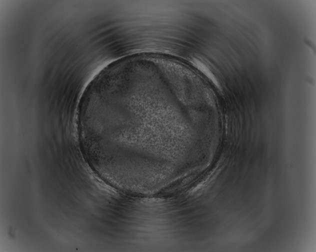 X0000092291068200710051157