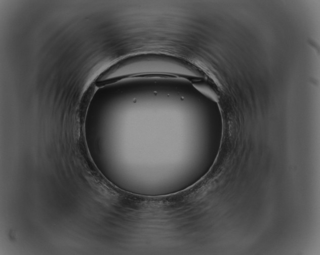 X0000092291069200710051157