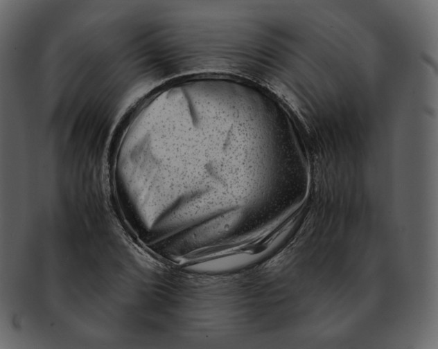 X0000092291072200710051157