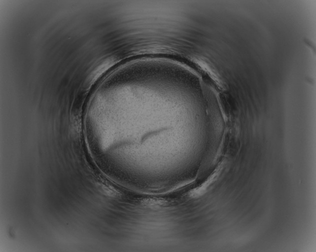 X0000092291073200710051157