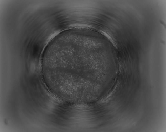 X0000092291074200710051157