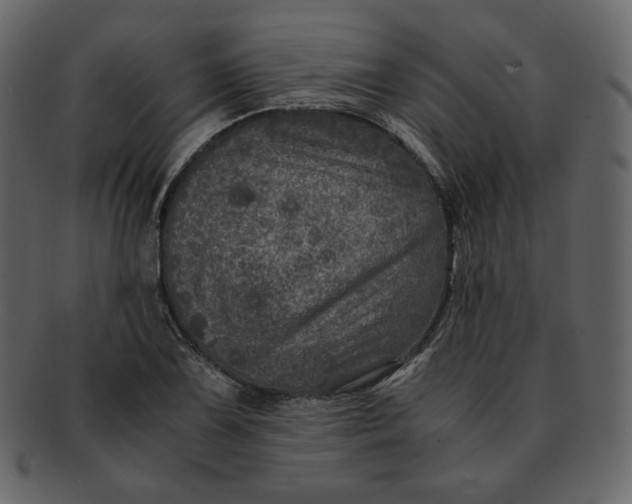 X0000092291075200710051157