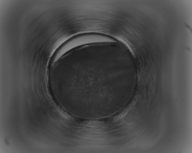 X0000092291077200710051157