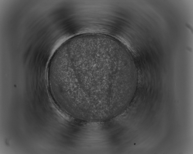 X0000092291078200710051157