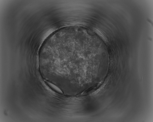 X0000092291079200710051157