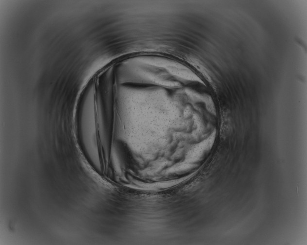 X0000092291080200710051157