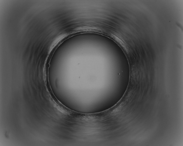 X0000092291082200710051157