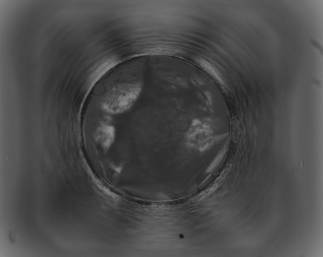 X0000092291087200710051157