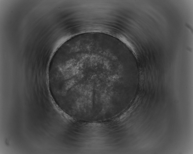 X0000092291088200710051157