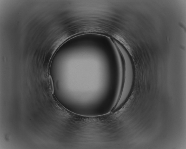 X0000092291089200710051157