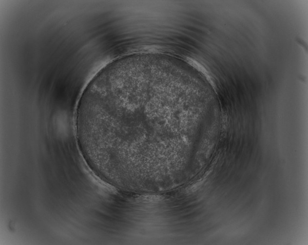 X0000092291090200710051157