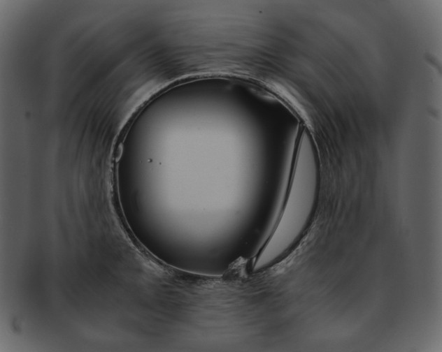 X0000092291093200710051157