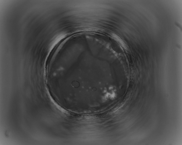 X0000092291095200710051157