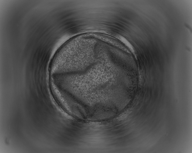 X0000092291096200710051157