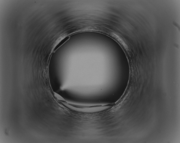 X0000092291097200710051157