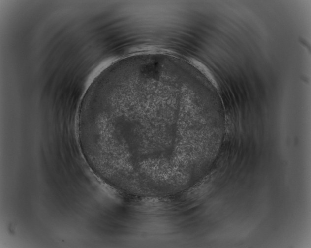 X0000092291098200710051157