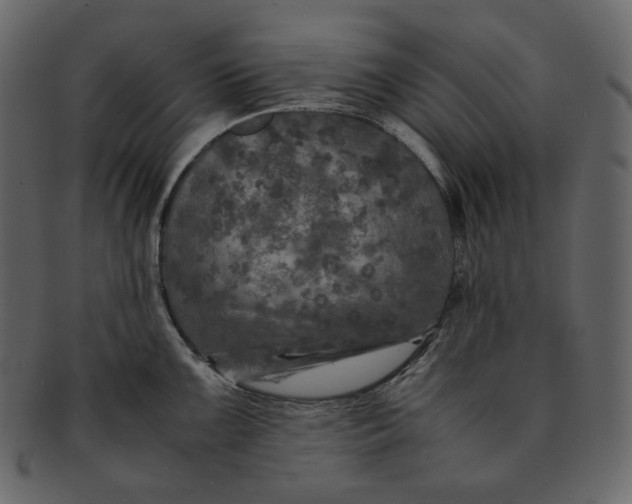 X0000092291099200710051157