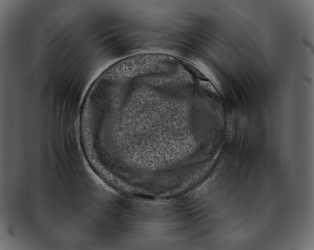 X0000092291100200710051157