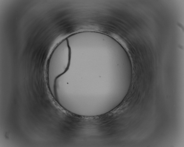 X0000092291104200710051157