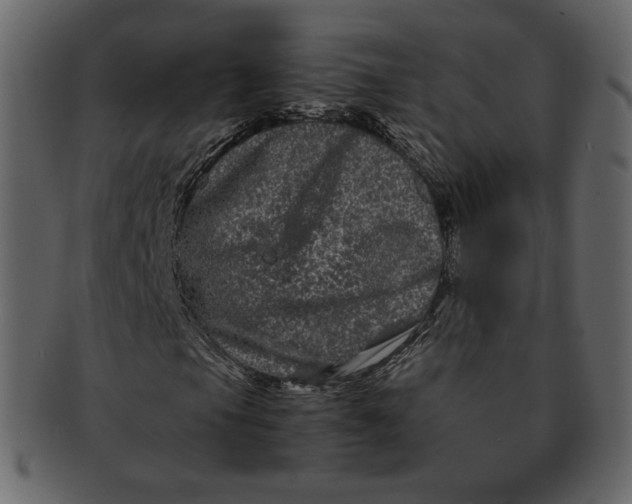 X0000092291105200710051156