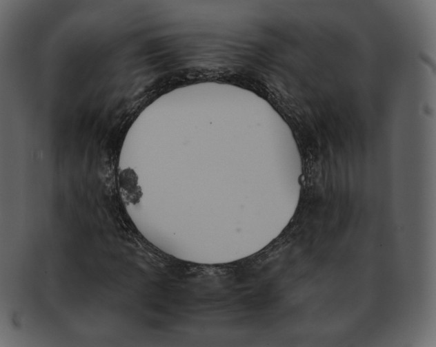 X0000092291109200710051157