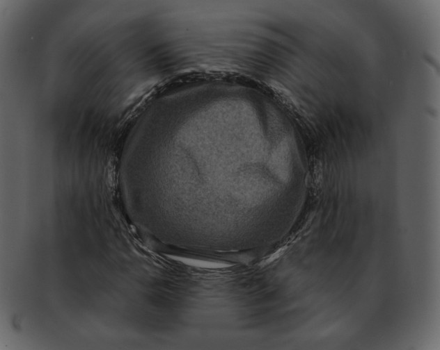 X0000092291110200710051157