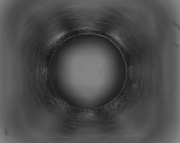 X0000092291111200710051157