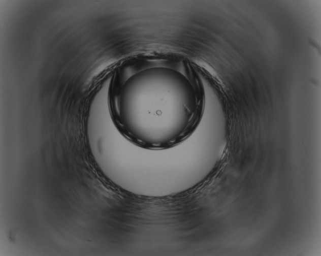 X0000092291112200710051157