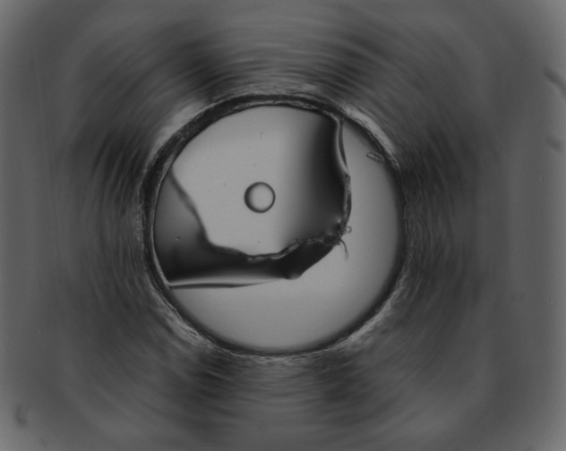 X0000092291114200710051157