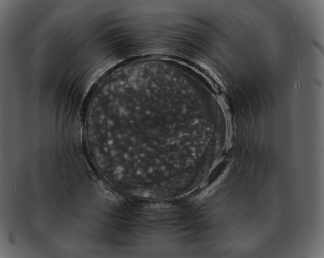 X0000092291117200710051157