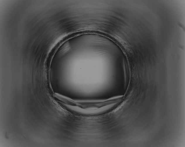 X0000092291118200710051157