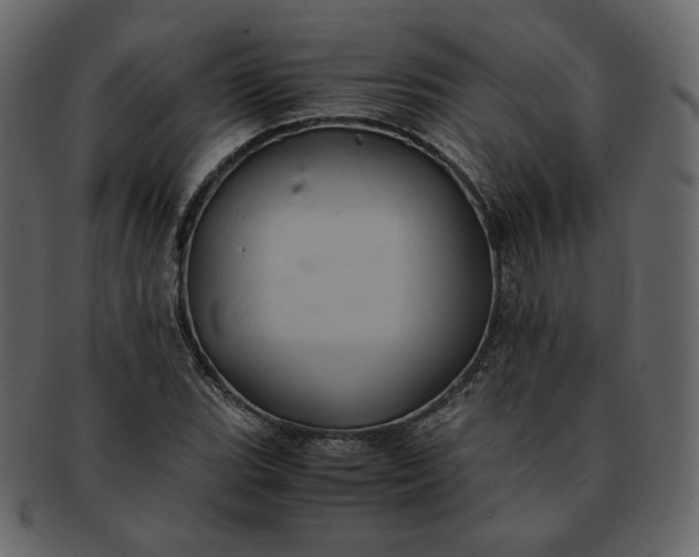 X0000092291119200710051157