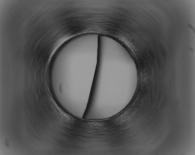 X0000092291123200710051157