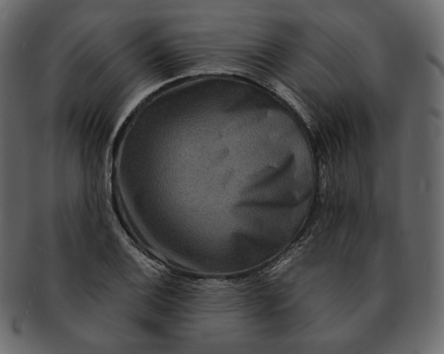 X0000092291124200710051157