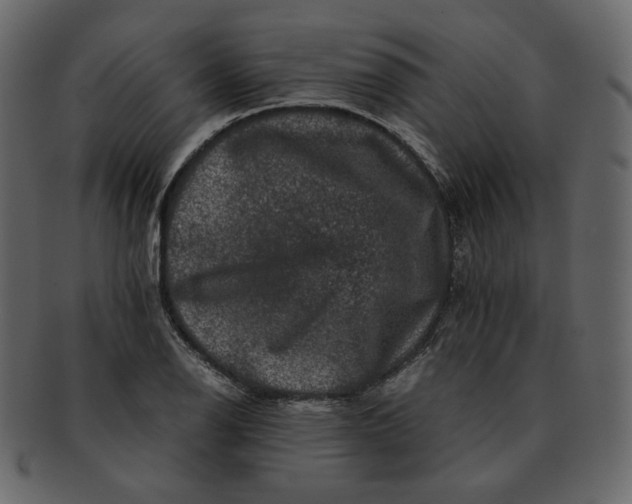 X0000092291126200710051157