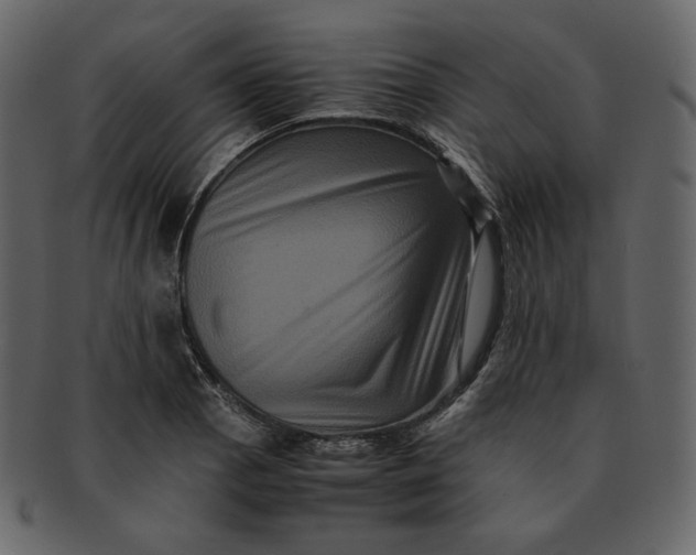 X0000092291129200710051157