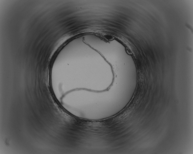 X0000092291131200710051157