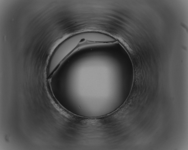 X0000092291134200710051157