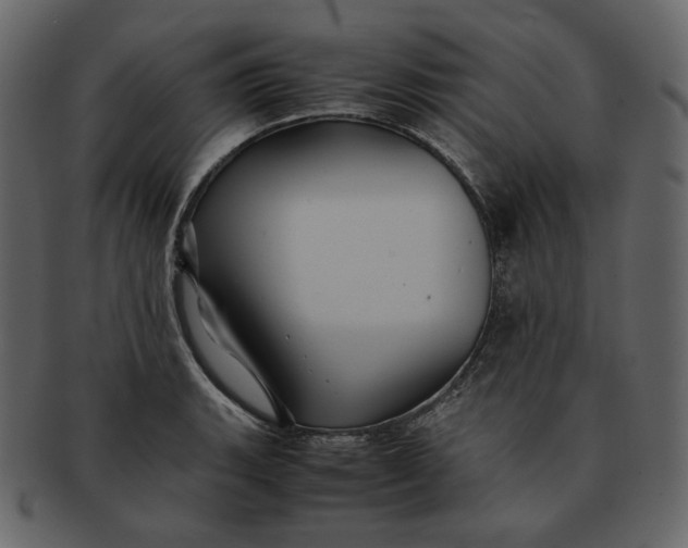 X0000092291135200710051157