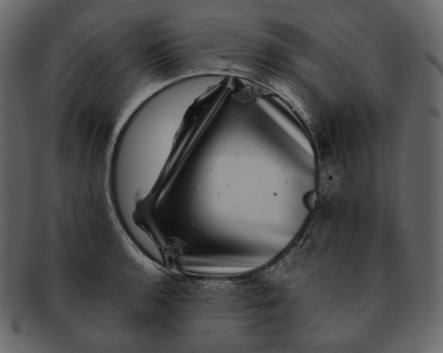 X0000092291136200710051157