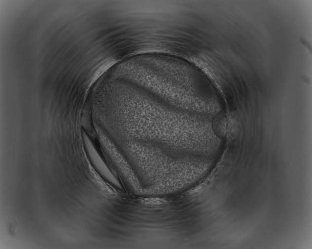 X0000092291137200710051157