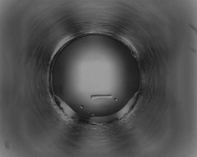 X0000092291138200710051157