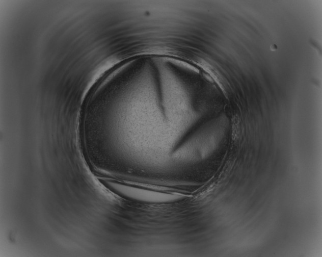 X0000092291139200710051157