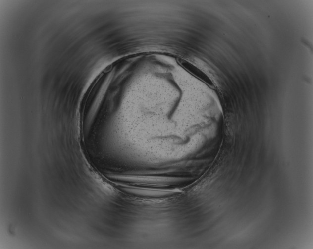 X0000092291140200710051157