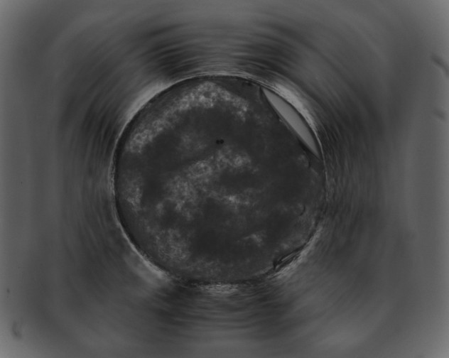 X0000092291141200710051157