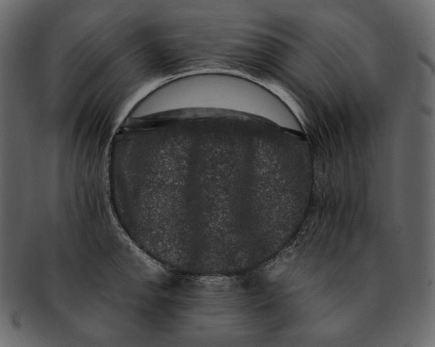 X0000092291142200710051157