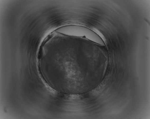 X0000092291144200710051157