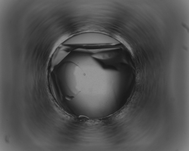 X0000092291146200710051157